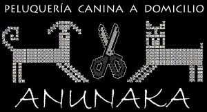 LOGO3