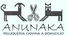 LOGO fondo celeste